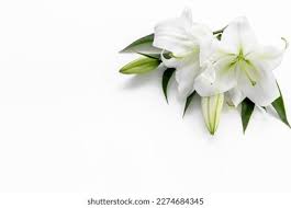 Charlie Halliday, Death: Denver, CO- Died In Fatal Car Accident